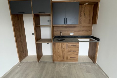 1+1 Apartment  in Alanya, Antalya, Turkey No. 228249