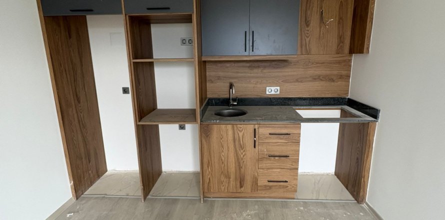 Daire 1+1 Alanya, Antalya, Türkiye №228249