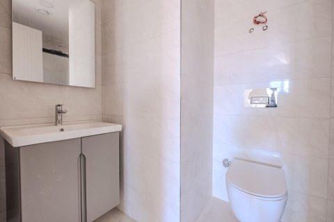 1+0 Leilighet i Mahmutlar, Antalya, Tyrkia Nr. 237578 - 6