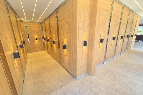 Apartment for rent in Mahmutlar, Antalya, Turkey, studio, 50m2, No. 227249 – photo 11