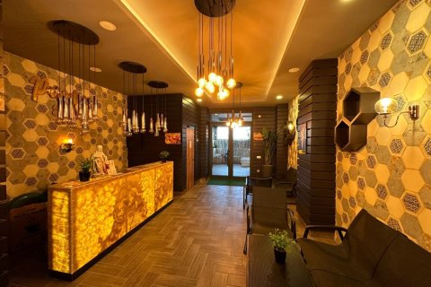 1+1 Leilighet  i Alanya, Antalya, Tyrkia Nr. 216584 - 3