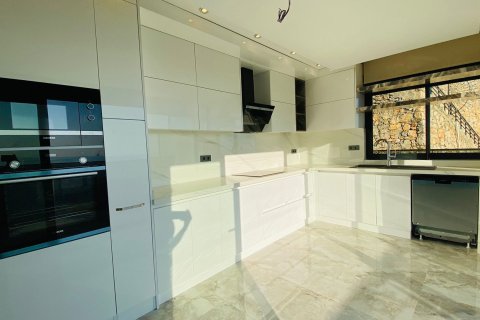 4+2 Villa i Bektas, Alanya, Antalya, Turkiet Nr. 213282 - 21