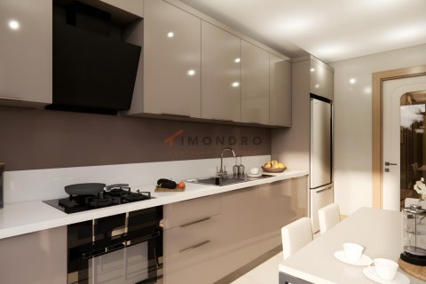 6+1 Wohnung in Beylikduezue, Istanbul, Türkei Nr. 221727 - 22