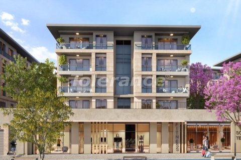 1+1 Leilighet i Istanbul, Tyrkia Nr. 213758 - 2