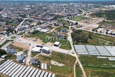 Tömma  i Serik, Antalya, Turkiet Nr. 226498 - 5