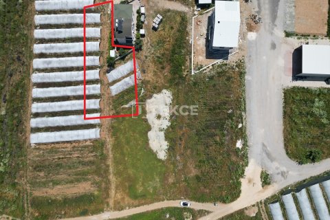 Tomt  i Serik, Antalya, Tyrkia Nr. 226498