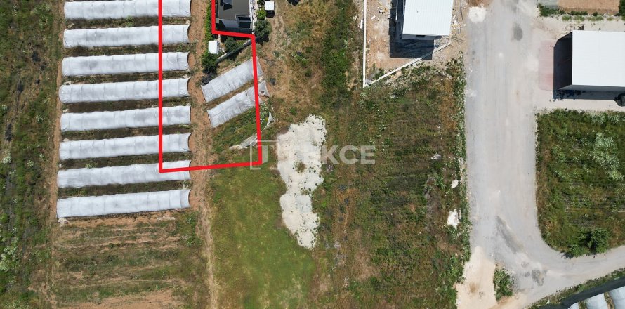 Tömma  i Serik, Antalya, Turkiet Nr. 226498