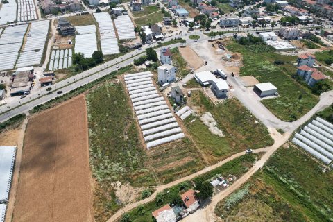 Tömma  i Serik, Antalya, Turkiet Nr. 226498 - 3