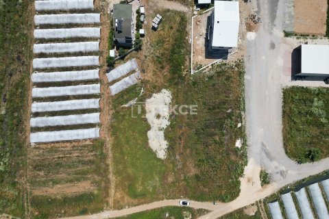Tömma  i Serik, Antalya, Turkiet Nr. 226498 - 7