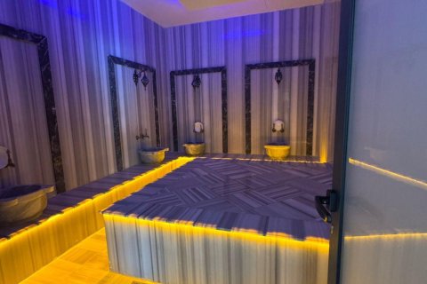 1+1 Lejlighed i Alanya, Antalya, Tyrkiet Nr. 216769 - 9
