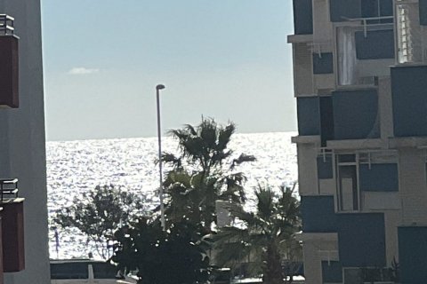 in Mahmutlar, Antalya, Türkei Nr. 102274 - 13