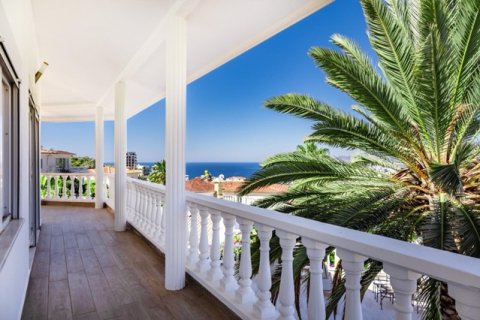 5+1 Villa i Antalya, Turkiet Nr. 222736 - 22