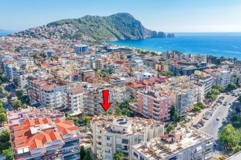Commercial property  in Antalya, Turkey No. 222733