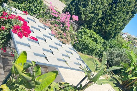 3+1 Villa i Bodrum, Mugla, Turkiet Nr. 237546 - 10