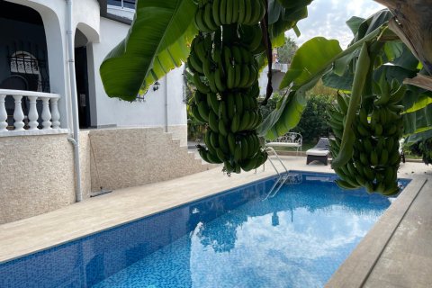 3+0 Villa in Turkler, Alanya, Antalya, Türkei Nr. 224972 - 4
