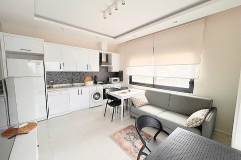 Daire  1+0  Kargıcak, Alanya, Antalya, Türkiye №237587 - 2
