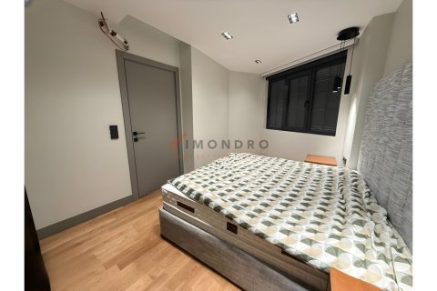 4+1 Villa  i Besiktas, Istanbul, Tyrkiet Nr. 227018 - 24