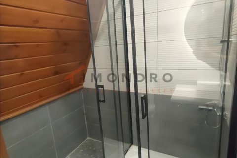 3+1 Villa  i Silivri, Istanbul, Tyrkiet Nr. 237993 - 16