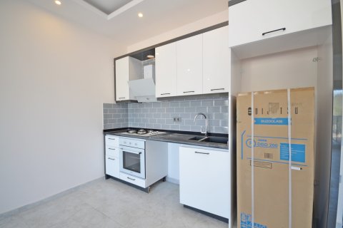 1+1 Wohnung  in Alanya, Antalya, Türkei Nr. 216623 - 7