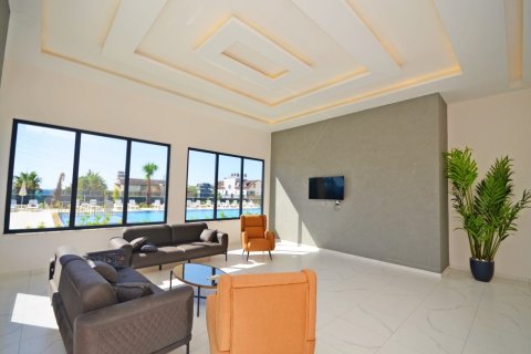 1+1 Wohnung  in Alanya, Antalya, Türkei Nr. 216623 - 23
