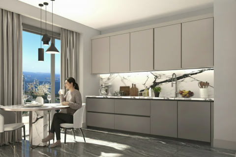 3+1 Lejlighed i Istanbul, Tyrkiet Nr. 224733 - 6