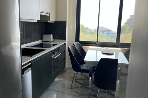 2+1 Leilighet i Kestel, Antalya, Tyrkia Nr. 217903 - 4
