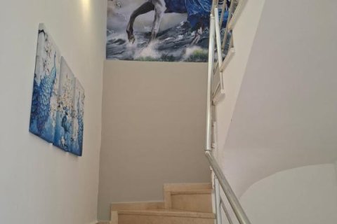 Wohnung  in Mahmutlar, Antalya, Türkei Nr. 216357 - 16