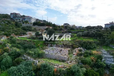 Продажа квартиры  в Джикджилли, Анталье, Турция, 529м2, №217123 – фото 10