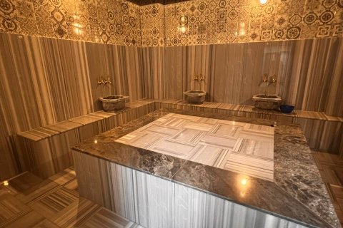 Daire  1+1  Alanya, Antalya, Türkiye №228363 - 6