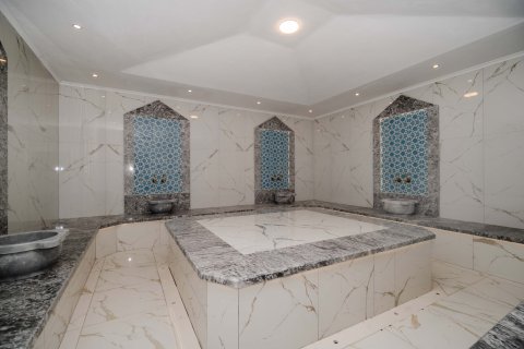 Daire  1+1  Avsallar, Antalya, Türkiye №218326 - 12