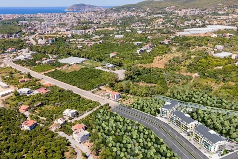 1+1 Lejlighed  i Alanya, Antalya, Tyrkiet Nr. 223687 - 22
