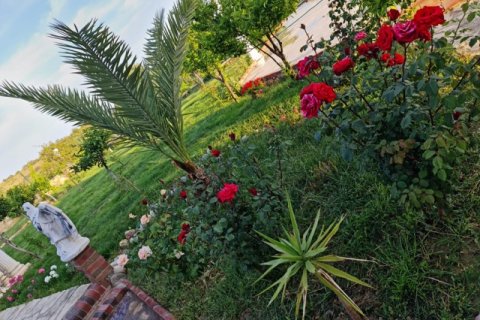Villa 7+1 Antalya, Türkiye №222867 - 6