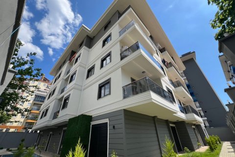 Продажа квартиры  в Аланье, Анталье, Турция 2 комн., 50м2, №222365 – фото 2
