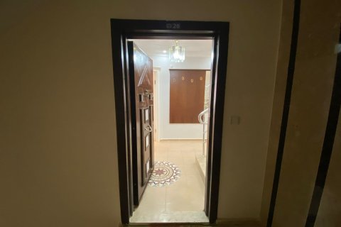 4+1 Lägenhet  i Alanya, Antalya, Turkiet Nr. 216527 - 11