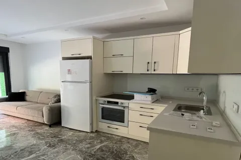 1+1 Wohnung  in Alanya, Antalya, Türkei Nr. 223592 - 5