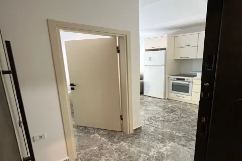 1+1 Wohnung  in Alanya, Antalya, Türkei Nr. 223592 - 4