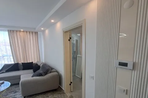 1+1 Wohnung  in Alanya, Antalya, Türkei Nr. 223592 - 14