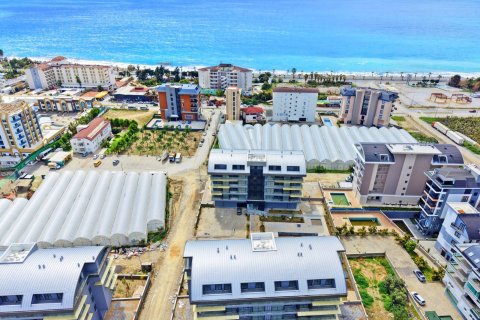 Daire  1+0  Kargıcak, Alanya, Antalya, Türkiye №227492
