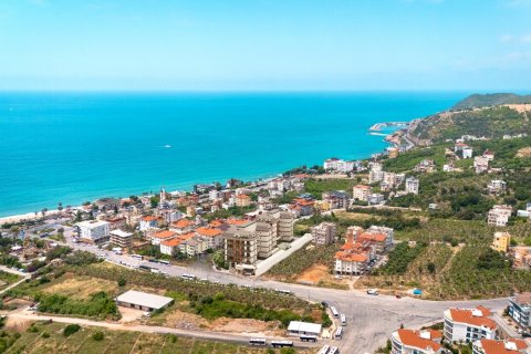 1+0 Lägenhet i Alanya, Antalya, Turkiet Nr. 227493 - 3