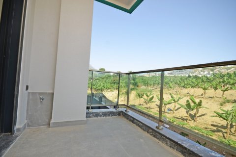 1+1 Lägenhet  i Alanya, Antalya, Turkiet Nr. 216710 - 24