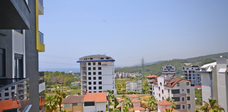 1+1 Wohnung in Alanya, Antalya, Türkei Nr. 216709