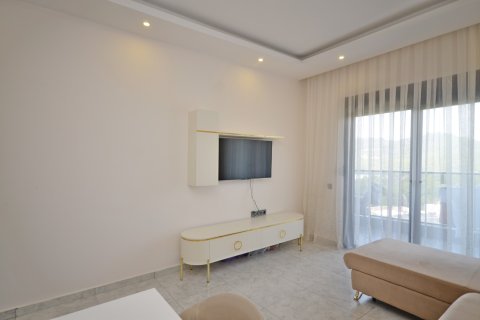 1+1 Wohnung in Alanya, Antalya, Türkei Nr. 216709 - 25