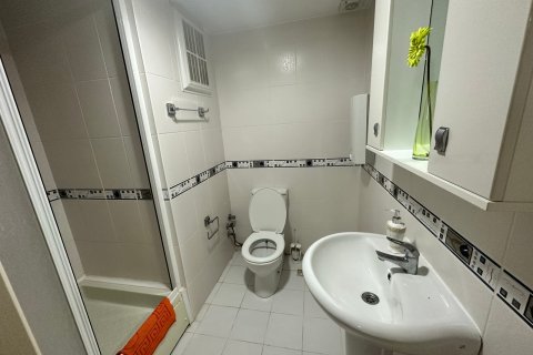 2+0 Lägenhet i Mahmutlar, Antalya, Turkiet Nr. 225071 - 14