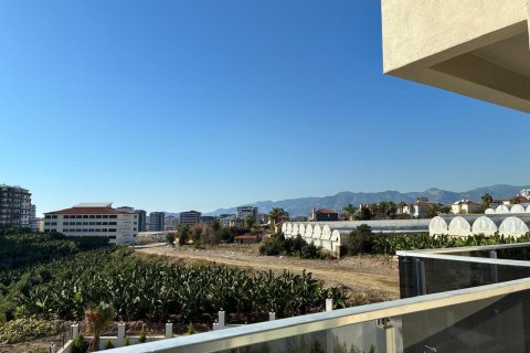 2+0 Lägenhet i Mahmutlar, Antalya, Turkiet Nr. 225070 - 15