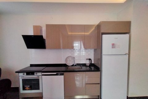1+1 Wohnung  in Alanya, Antalya, Türkei Nr. 223177 - 3