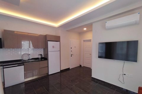 1+1 Wohnung  in Alanya, Antalya, Türkei Nr. 223177 - 2