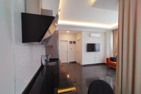 1+1 Wohnung  in Alanya, Antalya, Türkei Nr. 223177 - 6