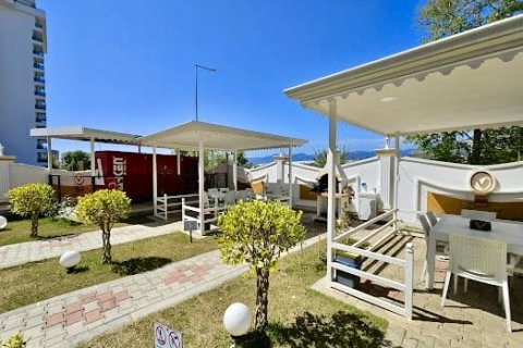 1+1 Lejlighed i Alanya, Antalya, Tyrkiet Nr. 221511 - 14