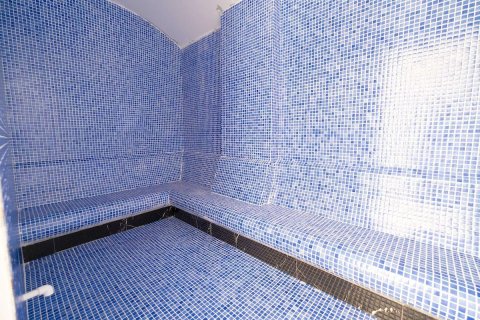 آپارتمان در  Alanya ، ترکیه 1 خوابه ، 60 متر مربع.  شماره 216398 - 15