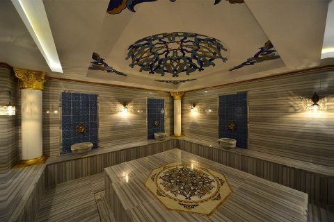 1+1 Wohnung  in Mahmutlar, Antalya, Türkei Nr. 219280 - 20